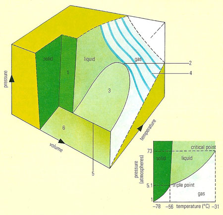 phase diagram