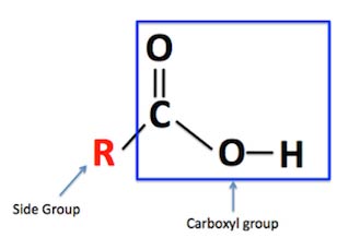 Carboxyl group