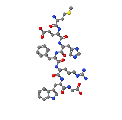 Molecule of adrenocorticotropic hormone (ACTH).