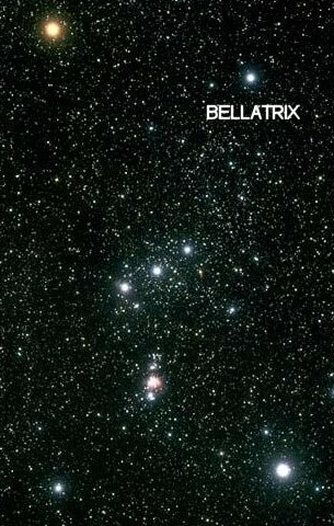 constellation of Orion with Bellatrix labeled