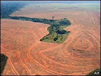 deforestation in Brazil