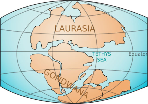 Laurasia and Gondwanaland during the Triassic, about 200 million years ago