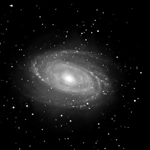 The spiral galaxy M81