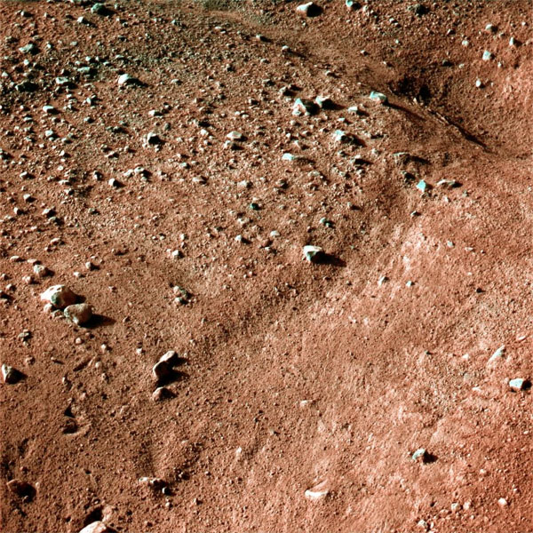 Mars Phoenix color closeup