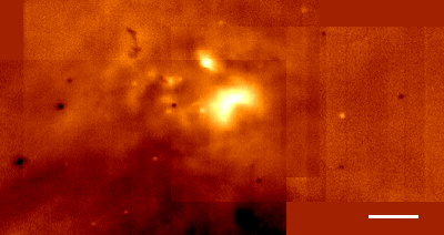 Ney-Allen Nebula