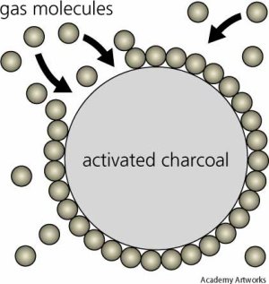 adsorption by activated charcoal