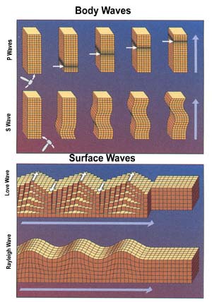 body waves and surface waves