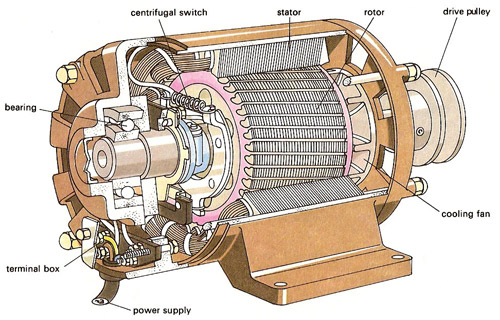 Six Key Components That Make Up Your Industrial Electric Motor