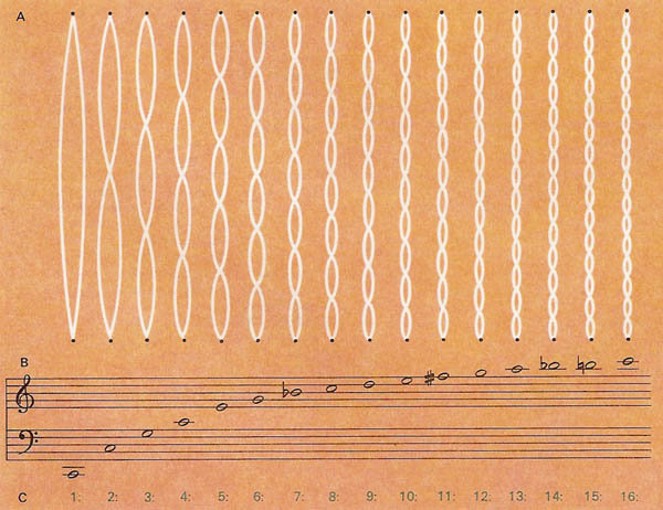 The first 16 modes of harmonic vibration in a stretched string