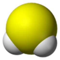 hydrogen sulfide molecule