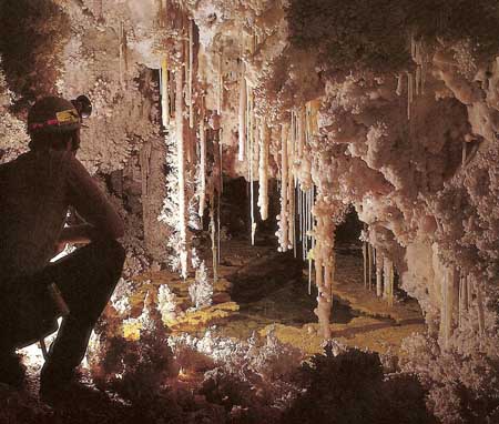 inside Carlsbad Caverns