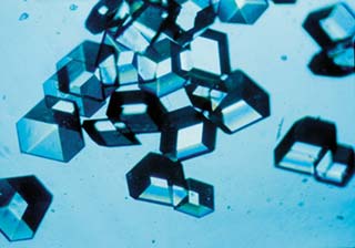 insulin crystals grown in space