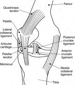 knee tendinitis