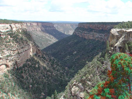 Canyon and mesas in Mesa Verde National Park