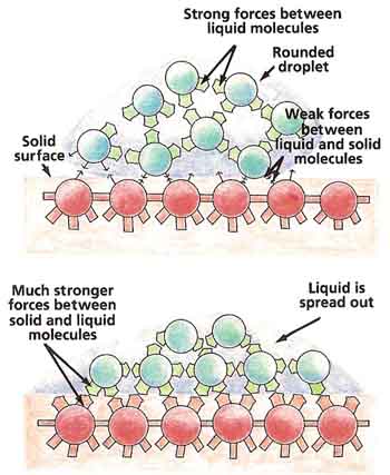 The stronger the force between a liquid and a solid surface, the more the liquid spreads out