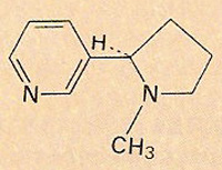 structure of the nicotine molecule