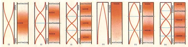 nodes and antinodes