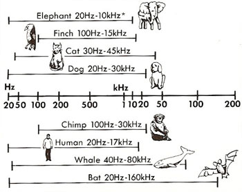frequency ranges of animal sounds