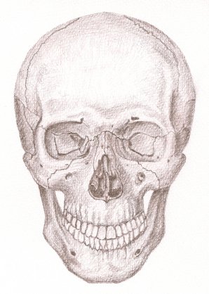 pic skull