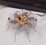 slime-mold controlled robot