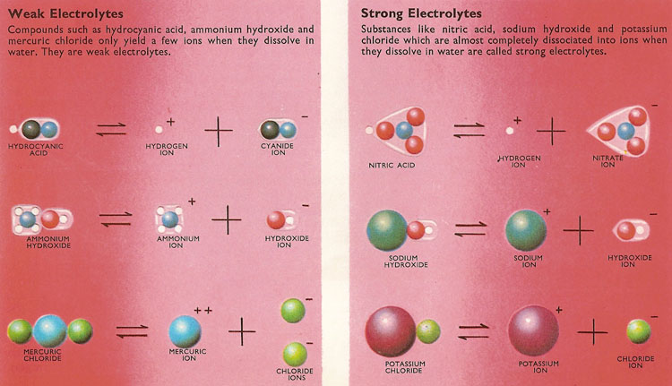 examples of weak electrolyte