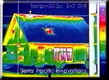 thermographic scan