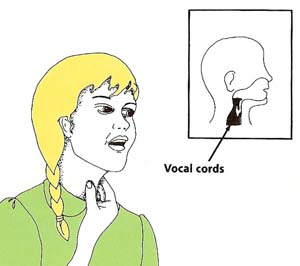 the throat and vocal cords