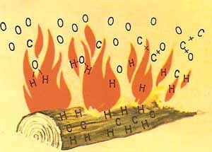 Wood burns because the carbon and hydrogen that are its principal components combine with the oxygen in the air