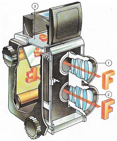 The twin-lens reflex camera is really two cameras one for focusing and view-finding (1) and one for photography (2). The lenses focus with a focusing screen (3).