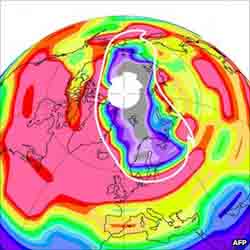 Arctic ozone