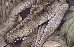 Baryonyx