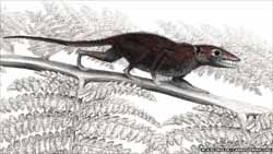 Juramaia sinensis