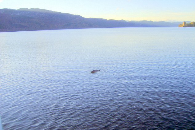 Photo taken by George Edwards in 2012 of an object in Loch Ness near Urquhart Castle