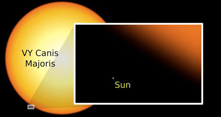 Comparison of the sizes of VY Canis Majoris and the Sun