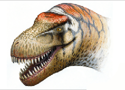 Zhuchengtyrannus magnus