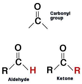 aldehyde and ketone compared