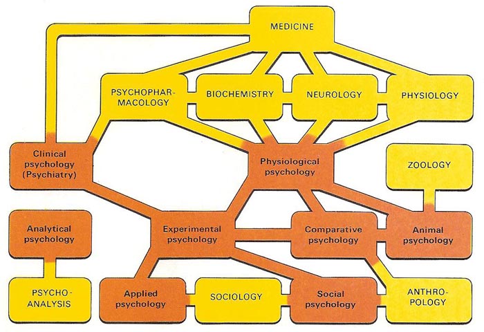 The different branches of psychology (red) and their links with allied sciences (yellow)