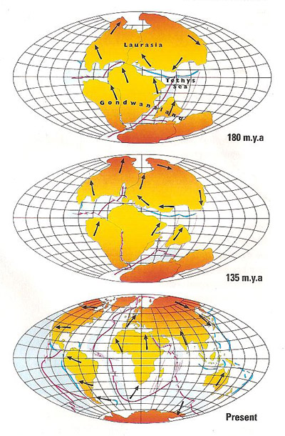 continental drift: the break-up of Pangaea