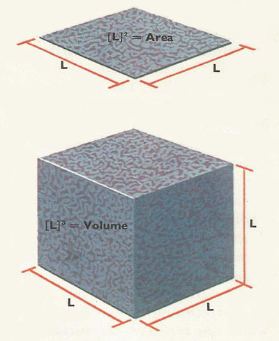 Dimensions of area and volume.