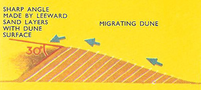 migrating dune