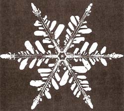 The symmetry of a snowflake echoes the symmetry of its molecules but owes its elaborate perfection to the subtle process of crystal growth by vapor-deposition on a vibrating surface
