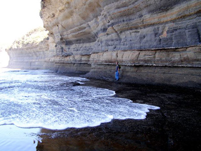 Rock strata near Depot Beach, New South Wales Photo: D.M. Vernon