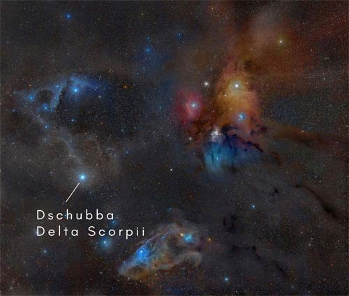 The Rho Ophiuchi region with Delta Scorpii (Dschubba) indicated.