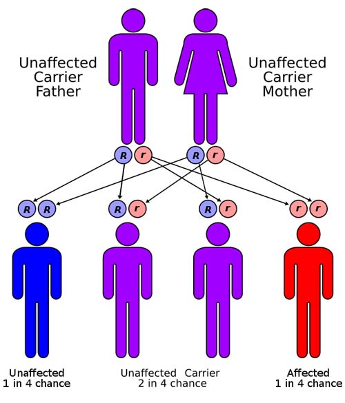 Fanconi anemia has an autosomal recessive pattern of inheritance.