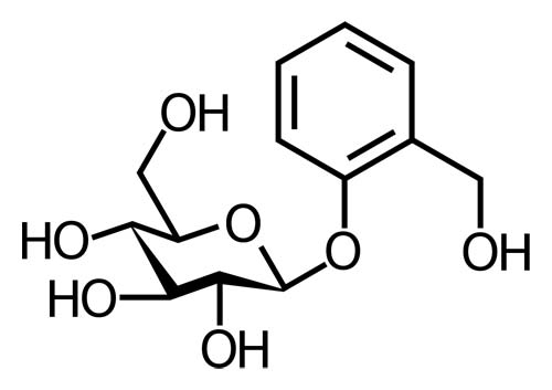 Salicin, a glycoside related to aspirin.