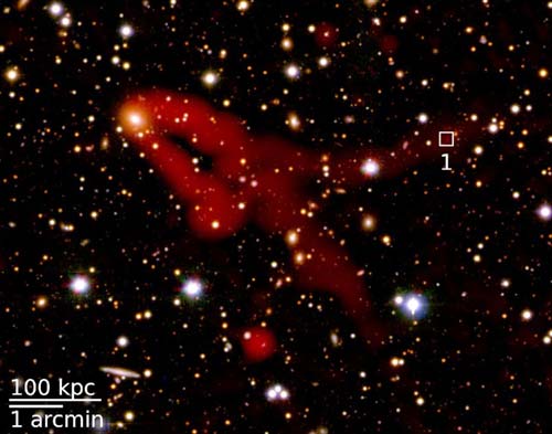 Head-tail galaxy in the galaxy cluster IIZW108.