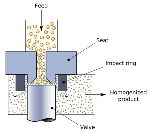A homogenizing valve, a method to homogenize at high pressure.