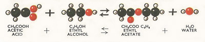 reaction between acetic acid and water