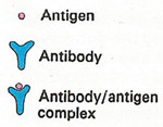 antigen illustration key