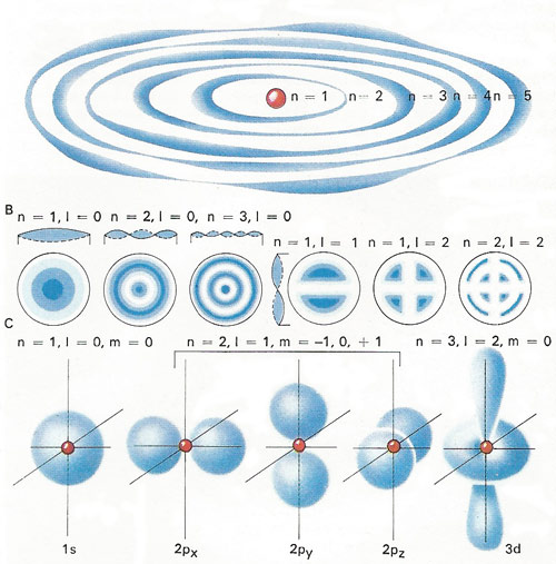 Possible orbits of an electron around an atomic nucleus can be pictured [A] as circles that exactly accommodate a whole number of wavelengths, denoted by the principal quantum number n.  A two-dimensional analogy (a vibrating drum skin) is described by two quantum numbers n and l [B], and the shape of a real atom [C] in terms of three, (n, l and m).